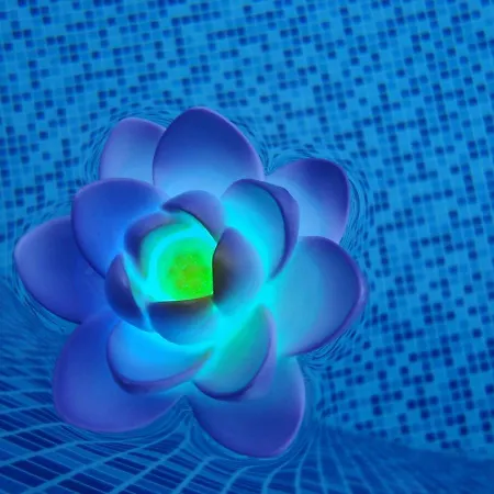 Apartments Villa Holiday شقة