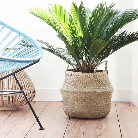 Apartments Villa Holiday Pula