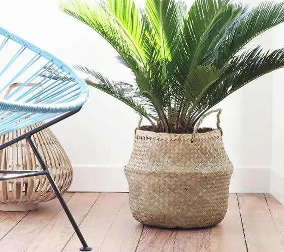 Apartments Villa Holiday Póla