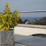 Apartments Villa Holiday Pula